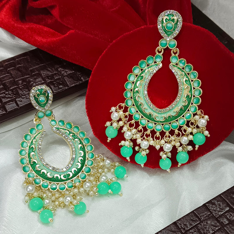 Darshana Jewels Gold Plated Meenakari Dangler Earrings