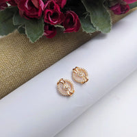 Aamrapali Fancy Austrian Stone Studs Earrings
