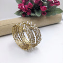 Aamrapali Shimmering Crystal Bangles Set for Parties & Events