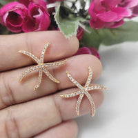 Aamrapali Fancy Austrian Stone Star Shape Studs Earrings