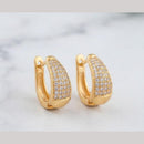 Aamrapali Fancy Austrian Stone Studs Earrings