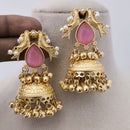 Marudhar Creations Matte Finish Pota Stone And Ghungroo Jhumki Earrings