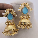 Marudhar Creations Matte Finish Pota Stone And Ghungroo Jhumki Earrings
