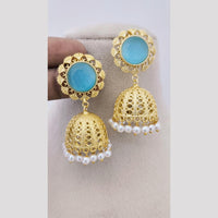Marudhar Creations Ethereal Lattice Pearl Jhumkas