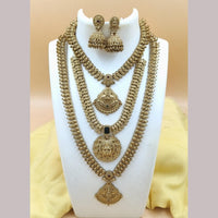 Joyful Jewel Art Matte Gold Plated Pota Stone Necklace Combo