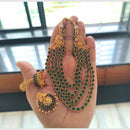 Joyful Jewel Art Matte Gold Pota Stone And Pearl Necklace Set
