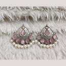 Rajwadi Collection Boho Oxidised Plated Pota Stone Detailing Dangler Earrings