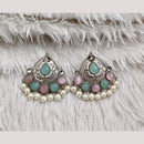 Rajwadi Collection Boho Oxidised Plated Pota Stone Detailing Dangler Earrings