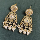 Rajwadi Collection Elegant Pota And Pearl Designer Dangler Earrings