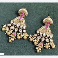 Rajwadi Collection Elegant Pota And Pearl Designer Dangler Earrings
