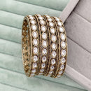 Rajwadi Collection Heritage Pota Stone Bangles Set