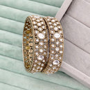 Rajwadi Collection Heritage Pota Stone Bangles Set