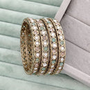 Rajwadi Collection Heritage Pota Stone Bangles Set