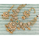 Rajwadi Collection Heritage Pota Stone And Pearl Necklace Set