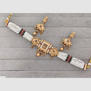 Rajwadi Collection Pota Stone And Pearl Meenakari Statement Temple Choker Necklace Set