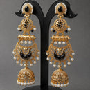 Maharani Jewels Ethnic Pearl And Pota Stone Jhumki Earrings