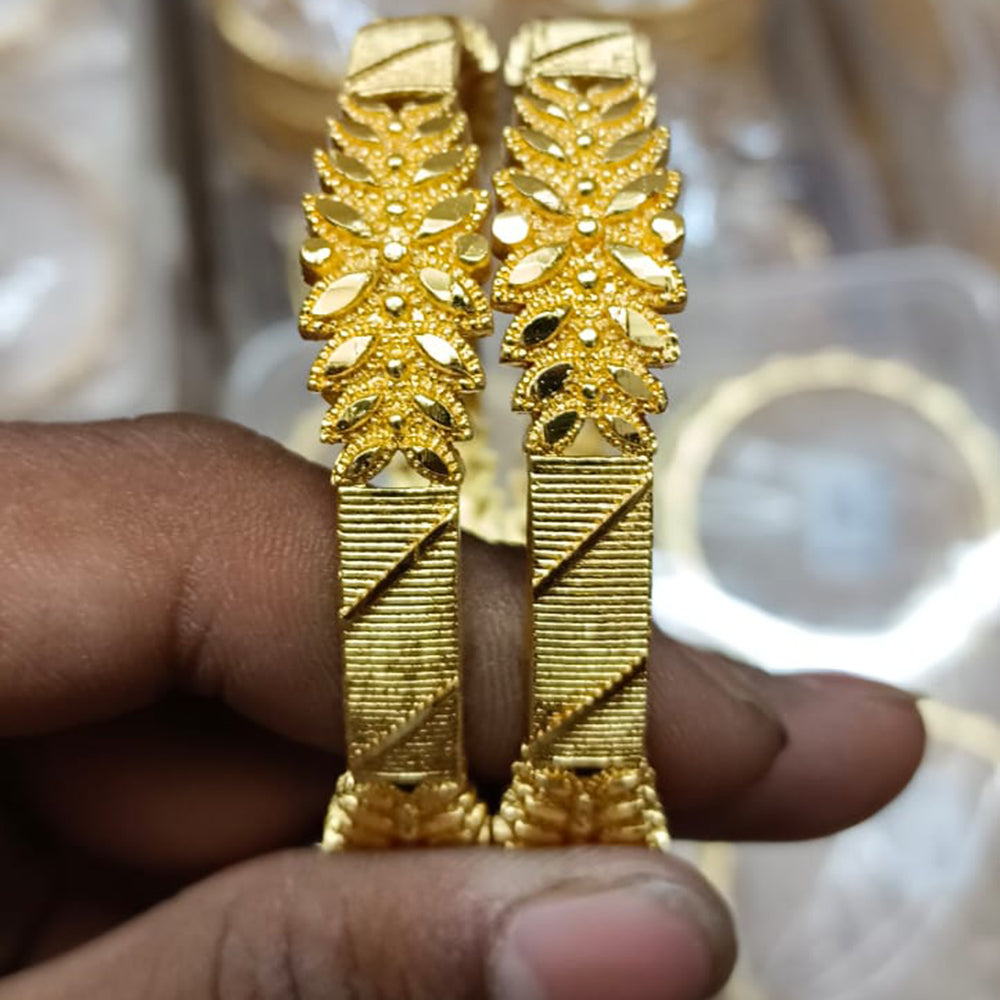 Shreenath Sales Gold Plated Bangles Set