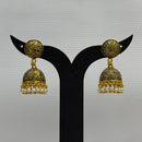 Dariyalal Sales Gold Plated Pearl Jhumki Earrings