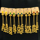 VM Imitation Look Kashmiri Pota Stone Kashmiri Ghungroo Dangler Earrings