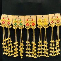 VM Imitation Look Kashmiri Pota Stone Kashmiri Ghungroo Dangler Earrings