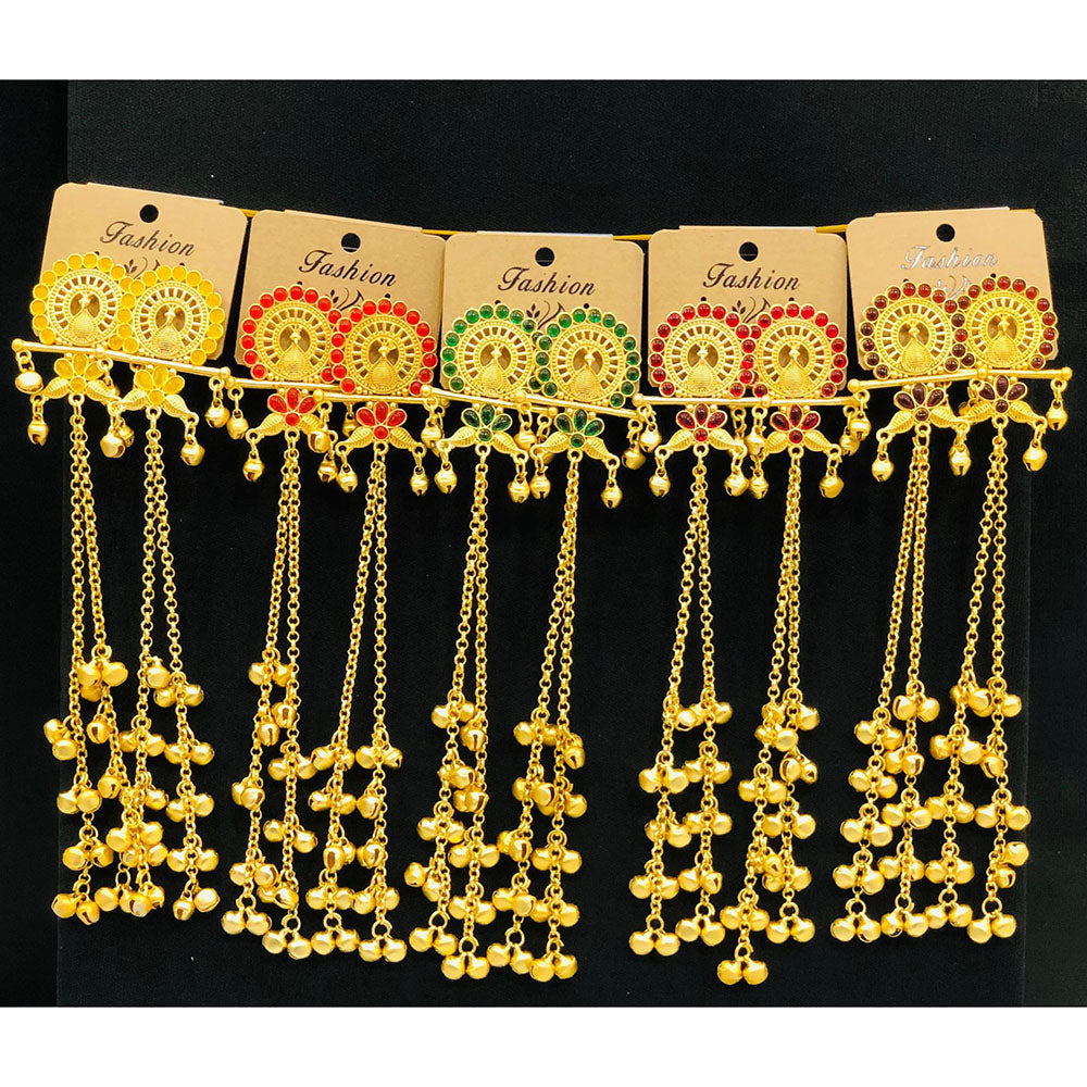 VM Imitation Look Kashmiri Pota Stone Kashmiri Ghungroo Dangler Earrings