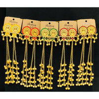 VM Imitation Look Kashmiri Pota Stone Kashmiri Ghungroo Dangler Earrings