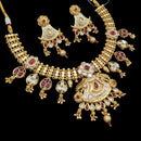 NAFJ Gold Plated Pota Stone And Pearls Meenakari Necklace Set