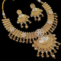 NAFJ Gold Plated Pota Stone And Pearls Meenakari Necklace Set