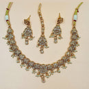NAFJ Gold Plated Crystal Stone And Pearl Necklace Set