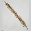 NAFJ Gold Plated Traditional Shiny Crystals And Pearls Sheeshphool