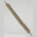 NAFJ Gold Plated Traditional Shiny Crystals And Pearls Sheeshphool
