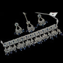 NAFJ Silver Plated Crystal & Pearl  Graceful Charm for Every Occasion Choker Necklace Set