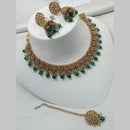 NAFJ Gold Plated Crystal & Pearl  Graceful Charm for Every Occasion Choker Necklace Set