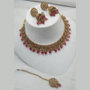 NAFJ Gold Plated Crystal & Pearl  Graceful Charm for Every Occasion Choker Necklace Set