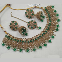 NAFJ Gold Plated Crystal & Pearl  Graceful Charm for Every Occasion Choker Necklace Set