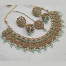 NAFJ Gold Plated Crystal & Pearl  Graceful Charm for Every Occasion Choker Necklace Set