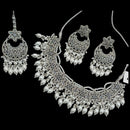 NAFJ Silver Plated Crystal & Pearl  Graceful Charm for Every Occasion Choker Necklace Set