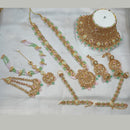 NAFJ Gold Plated Austrian Stone Bridal Set