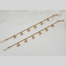 NAFJ Gold Plated Pearl Stylish and Classic Indian Jewelry for Ethnic Wear Kanchain