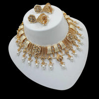 NAFJ Gold Plated Pota Stone And Pearls Meenakari Necklace Set