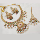 NAFJ Gold Plated Pota Stone And Pearls Meenakari Necklace Set