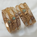 NAFJ Gold Plated Pota Stone Meenakari Bangles Set