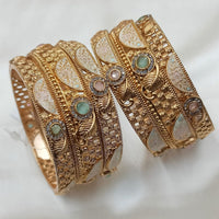 NAFJ Gold Plated Pota Stone Meenakari Bangles Set