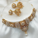 NAFJ Gold Plated Pota Stone And Pearls Meenakari Necklace Set