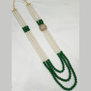NAFJ Gold Plated Crystal Stone And Beads Long Necklace Set