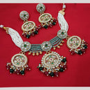 NAFJ Gold Plated Kundan And Pota Pearl Meenakari Necklace Set