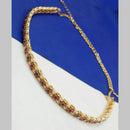 NAFJ Gold Plated Austrian Stone And Pearl Kamarbandh