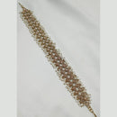 NAFJ Gold Plated Traditional Shiny Crystals And Pearls Sheeshphool