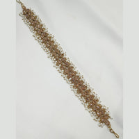 NAFJ Gold Plated Traditional Shiny Crystals And Pearls Sheeshphool