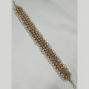 NAFJ Gold Plated Traditional Shiny Crystals And Pearls Sheeshphool